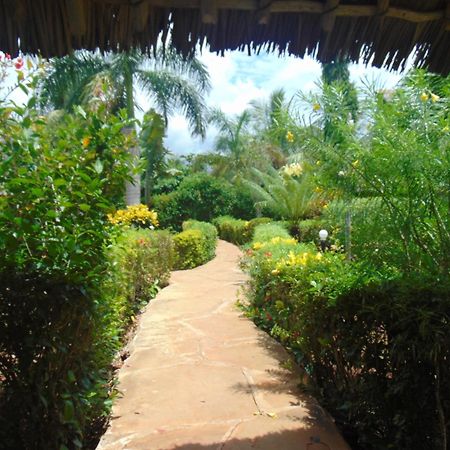 Villas Dora And Holly Diani Beach Exterior photo