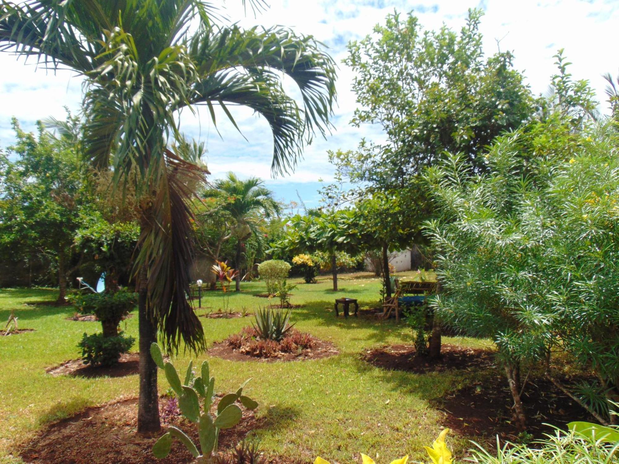 Villas Dora And Holly Diani Beach Exterior photo